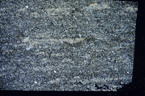 Cross Polarized, S84755