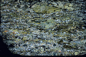 Cross Polarized, S84756