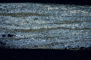 Cross Polarized, S84758