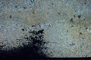 Cross Polarized, S84759