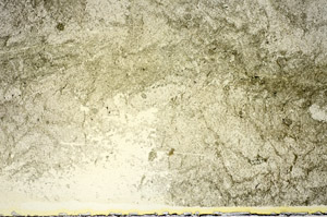 Plane Polarized, S84759