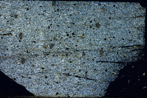 Cross Polarized, S84761