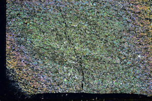 Cross Polarized, S84762