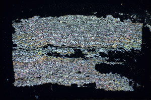 Cross Polarized, S84763