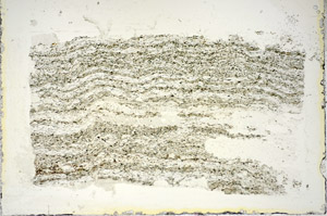 Plane Polarized, S84763