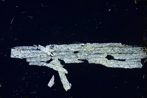 Cross Polarized, S84764