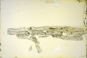 Plane Polarized, S84764