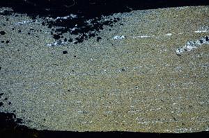 Cross Polarized, S84765