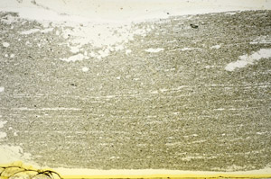 Plane Polarized, S84765