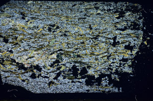 Cross Polarized, S84766