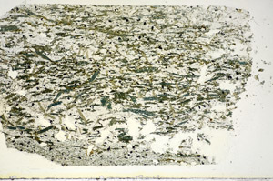 Plane Polarized, S84766