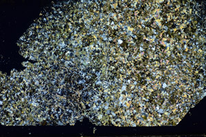 Cross Polarized, S84767