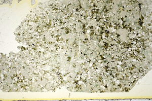 Plane Polarized, S84767