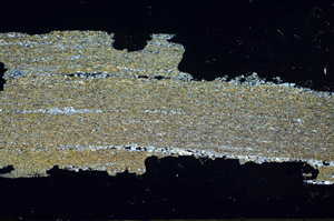 Cross Polarized, S84768