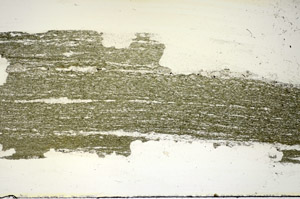 Plane Polarized, S84768