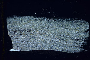 Cross Polarized, S84769