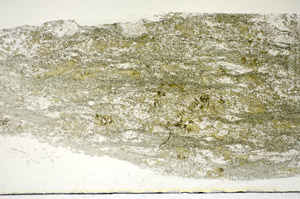 Plane Polarized, S84771