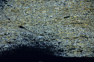 Cross Polarized, S84772