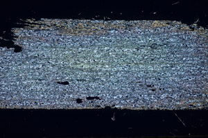 Cross Polarized, S84774