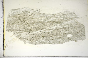 Plane Polarized, S84775