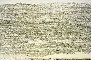Plane Polarized, S84781