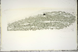 Plane Polarized, S84790