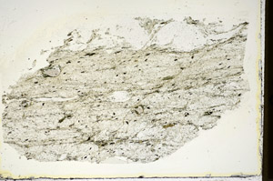 Plane Polarized, S84792