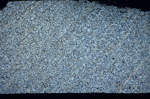 Plane Polarized, S84793
