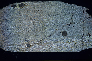 Cross Polarized, S84803