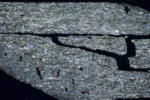 Cross Polarized, S84804