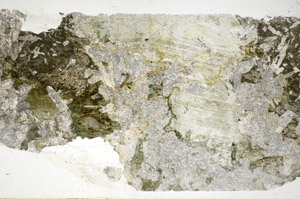 Plane Polarized, S84811