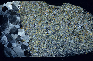 Cross Polarized, S84825