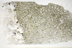 Plane Polarized, S84825