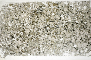 Plane Polarized, S84827