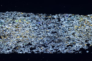 Cross Polarized, S84828