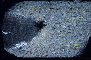 Cross Polarized, S84829