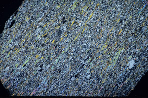 Cross Polarized, S84830