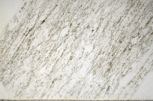 Plane Polarized, S84830