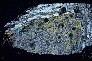 Cross Polarized, S84831