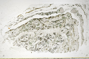 Plane Polarized, S84831