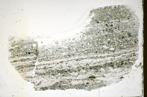 Plane Polarized, S84833