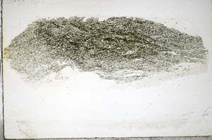 Plane Polarized, S84839