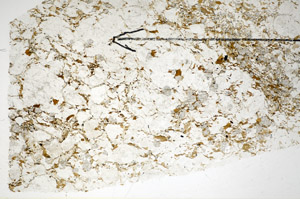 Plane Polarized, S84859