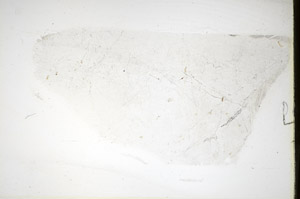 Plane Polarized, S84860