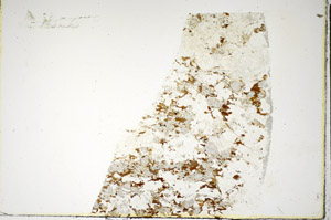 Plane Polarized, S84864