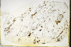 Plane Polarized, S84866