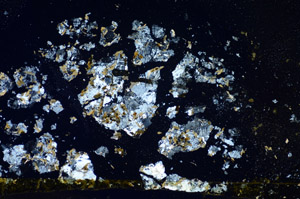 Cross Polarized, S84870/A
