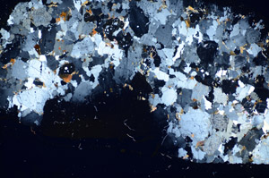 Cross Polarized, S84872