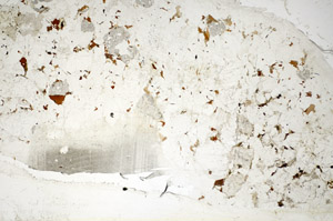 Plane Polarized, S84872