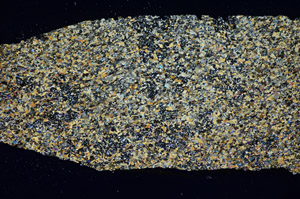 Cross Polarized, S84873